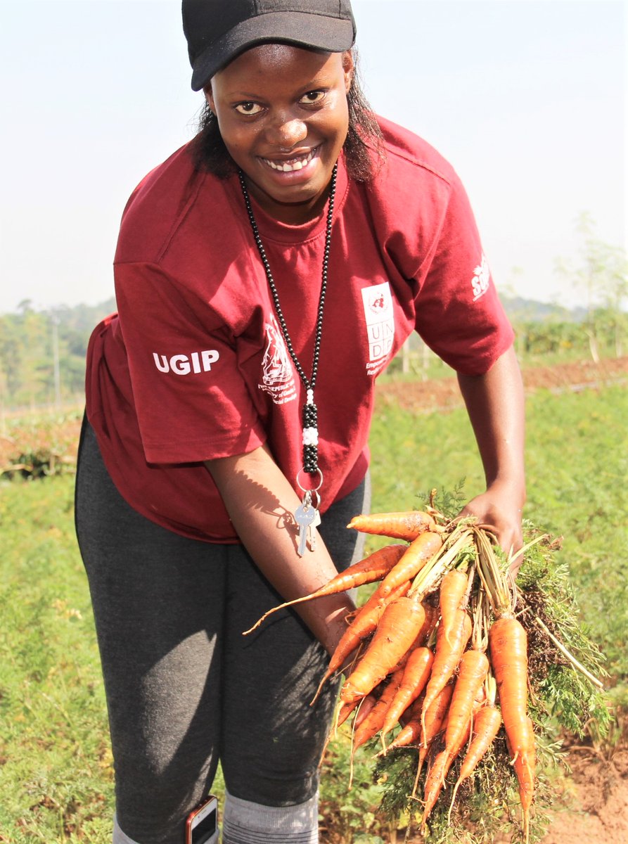 UNDPUganda's tweet photo. In a bid 2 promote food security, @UNDPUganda is promoting climate Smart Agriculture practices in eastern region, including promotion of agro-forestry, using improved crop varieties, organic and inorganic fertilizers #FoodSystemsUG #UNFSS2021 https://t.co/G4dakxS2UT