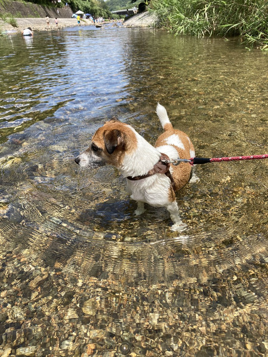 くろまろの郷大阪河内長野市