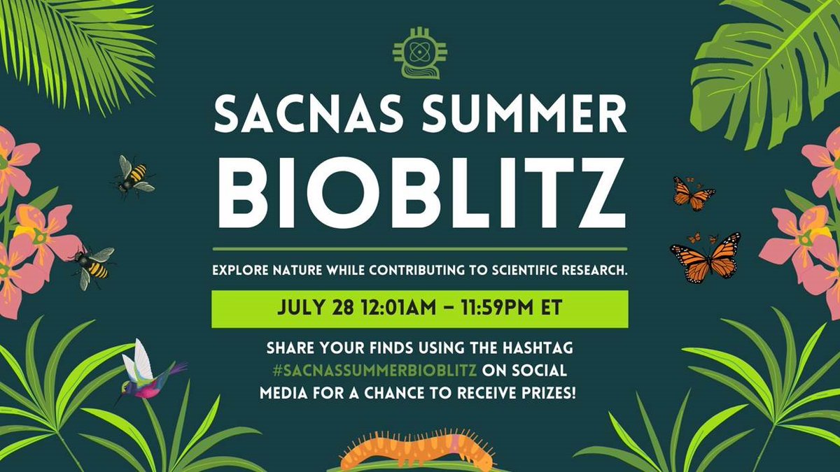 Happening all day today, July 28, 2021.