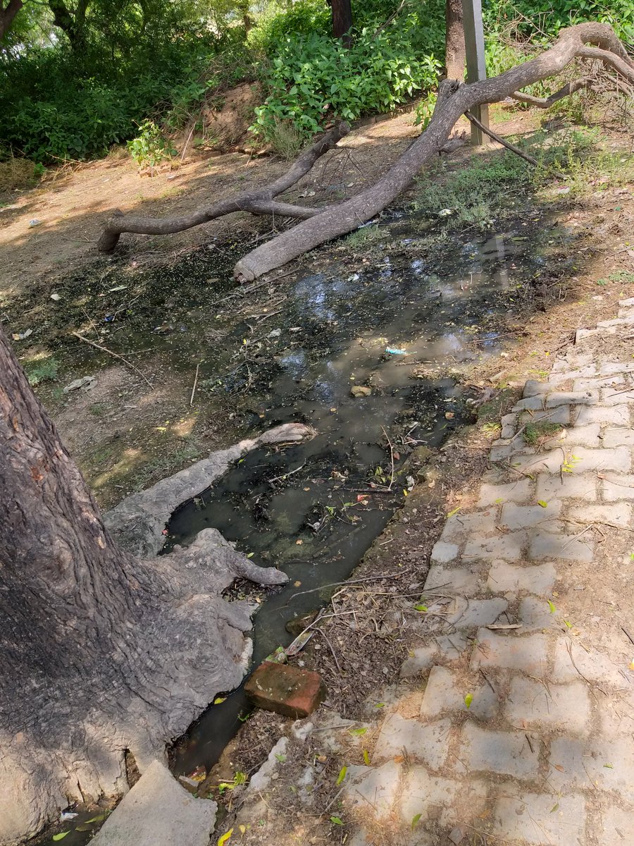 SESNewsChannel's tweet photo. @DmAmethi @smritiirani @CMOfficeUP @PMOIndia @myogiadityanath @CMOfficeUP @smritiirani @cdoamethi 
@DmAmethi
जिला-अमेठी में ब्लॉक शुकुल बाज़ार के अन्तर्गत गाँव-दरवानीपुर नही हो पा रहा कई सालो से एक नाली का निर्माण, नाली का गन्दा पानी जा रहा है कब्रिस्तान में, 2 साल से की जा रही है शिकायत। https://t.co/yagicRyy3c