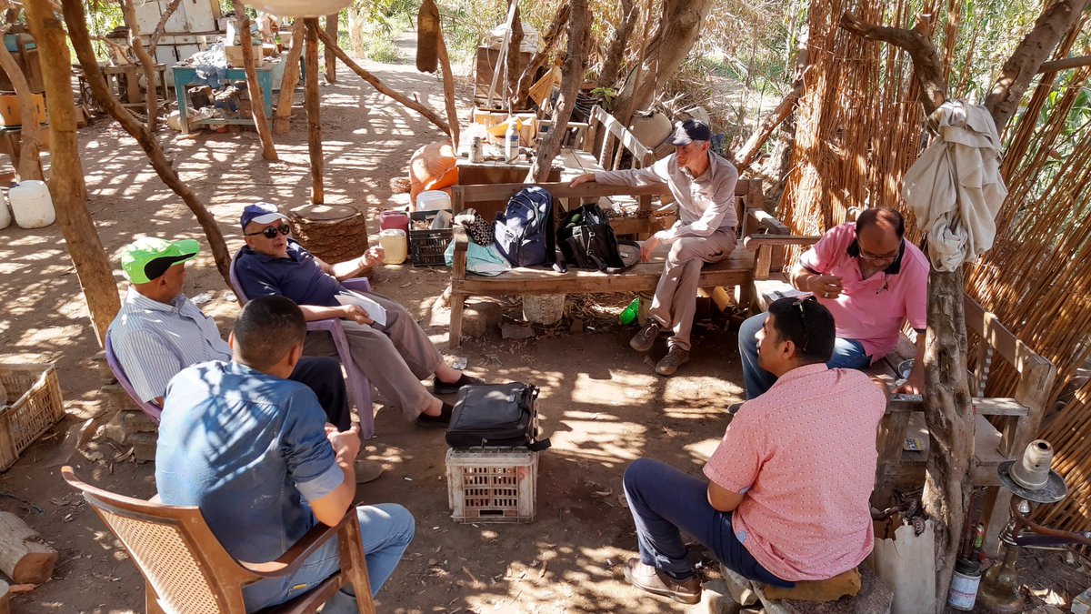 HiViewNL's tweet photo. At work again abroad. First trip after Covid 19 takes Hiview to Egypt to conduct field school days. Together with @FutureWaterNL and @IrriWatch, supported by @RVO_Nederland. At 4 different locations, about 100km around Cairo. Monitoring crops by using aerial imagery from #drones. https://t.co/7mBYOEMcac