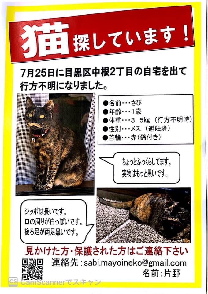 ট ইট র おのせ康裕 目黒区議会議長 手洗いうがい 迷子猫 目黒区 中根 都立大学 ペット 目黒区中根2丁目で 迷子猫です 情報ある方はご連絡してあげてください T Co Ft0esld3bx ট ইট র ট ইট র おのせ康裕 目黒区議会議長 手洗いうがい 迷子猫 目黒区 中根 都立大学 ペット 目黒区中根2丁目で 迷子猫です 情報ある方はご連絡してあげてください T Co Ft0esld3bx ট ইট র