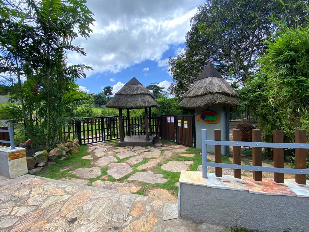 PeduaseValley's tweet photo. ๐พKnown for it's clean and safe environment, coupled with very friendly animals.
.
Pay our amazing Pet Zoo a visit anytime you come Peduase Valley Resort.
#peduasevalleyresort #experiencepvr #resort #pvrpetzoo #pets #bestresortdestination
#midweekvibes #livelife #aburi #gh https://t.co/NHwTQzgXns
