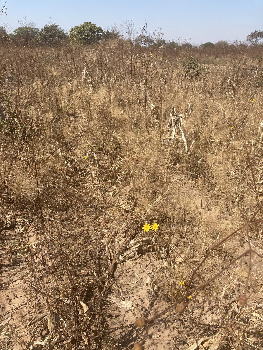 Bill Crabtree tweet media