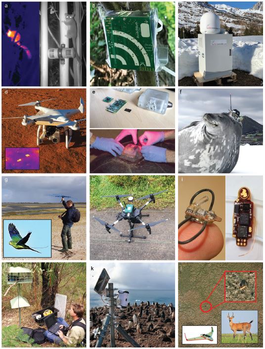 Our #newpaper #openaccess: the first comprehensive compilation of technologies for wildlife & habitat monitoring & conservation academic.oup.com/bioscience/adv… @AIBSbiology @ZoosVictoria @SciMelb @WILDLABSNET @mongabay #tech4wildlife