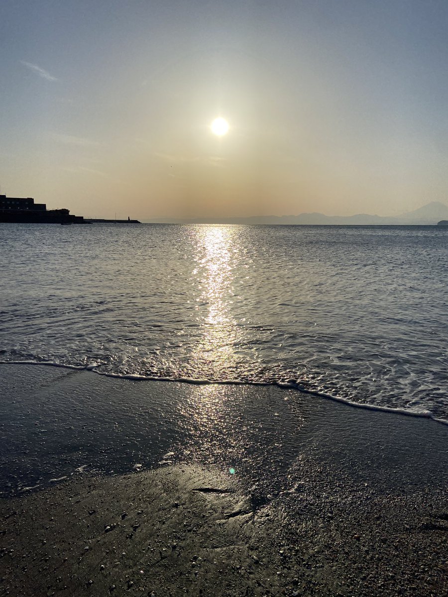 deiko's tweet photo. 午後4時、同居人と散歩休憩。
太陽光は1日15分浴びると、夜よく寝れるらしい。 https://t.co/3nwNCzJkZa