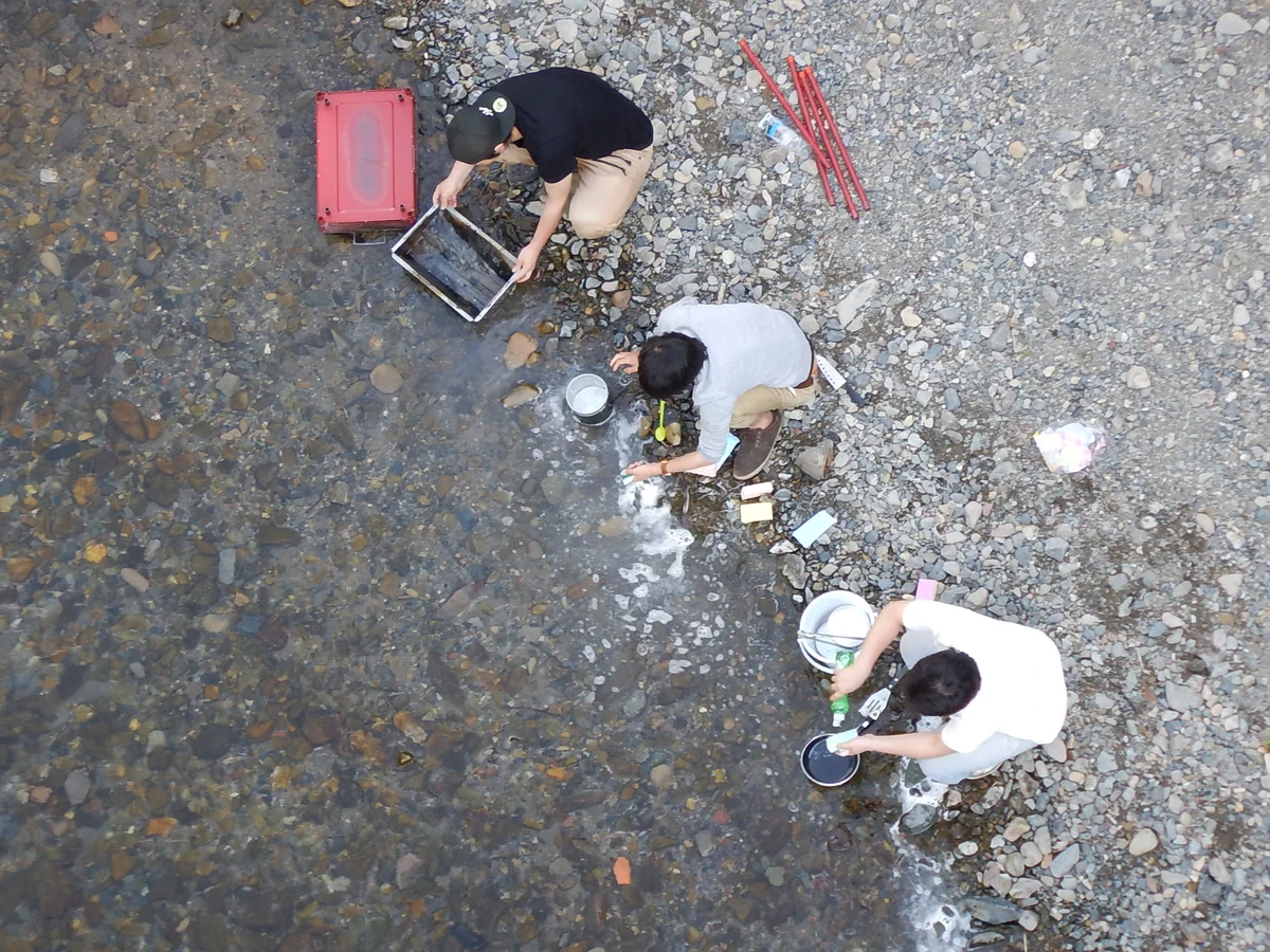 河川で原因不明の魚の大量死が起きているけど？その原因がこれ！