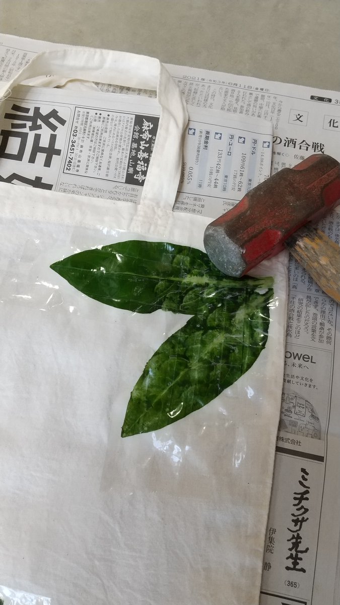 東松山市観光協会 公式 化石と自然の体験館で 藍のたたき染め を開催しました エコバッグに藍の葉をセロテープで貼り付け ハンマーで叩いて染めます 布用クレヨンで名前やイラストを入れて アイロンをかければ完成 かわいいオリジナルバッグが