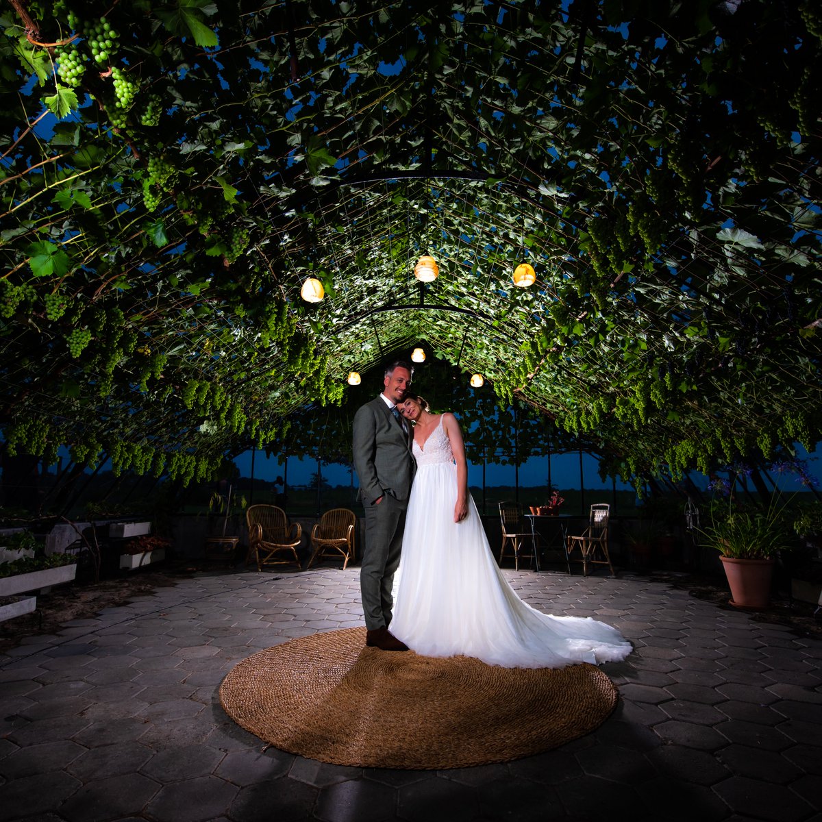 Lex Veldhuis tweet media