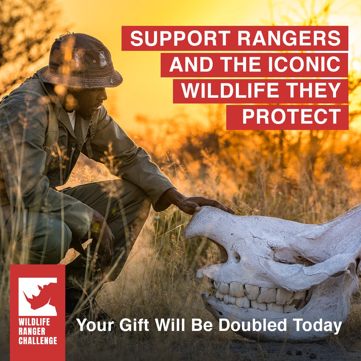 The 2021 Wildlife Ranger Challenge is here!!! 

Support our rangers in this good cause!!

#TheWildlifeRangerChallenge #wrc2021