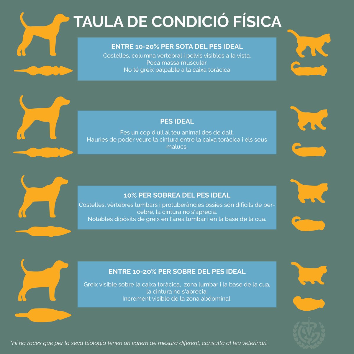 Tot i que la gran majoria de casos d'obesitat en animal salten a la vista! 😅 Des del #Colvetgi hem volgut mostrar-vos una infografia perquè sigueu capaços de detectar l'estat d'obesitat dels vostres animals. 👍

#ObesitatAnimal #Veterinaris #SalutAnimal #Colvetgi