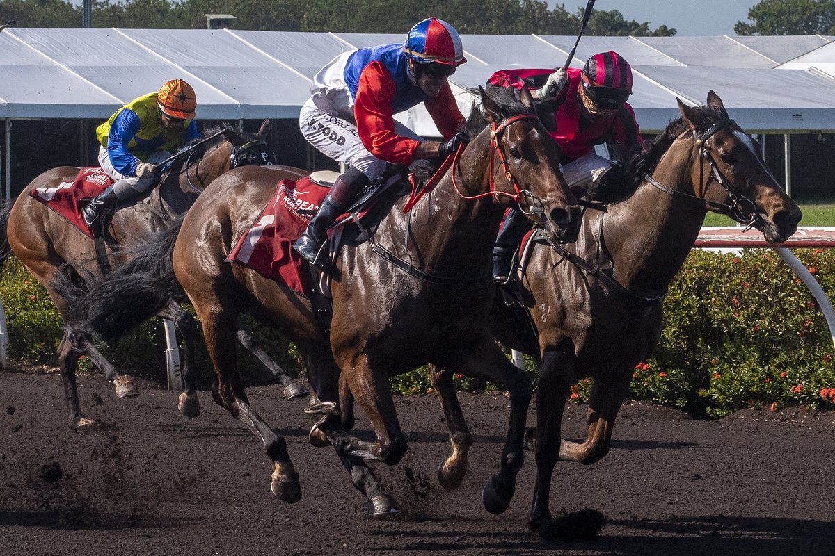 Darwin Turf Club tweet media
