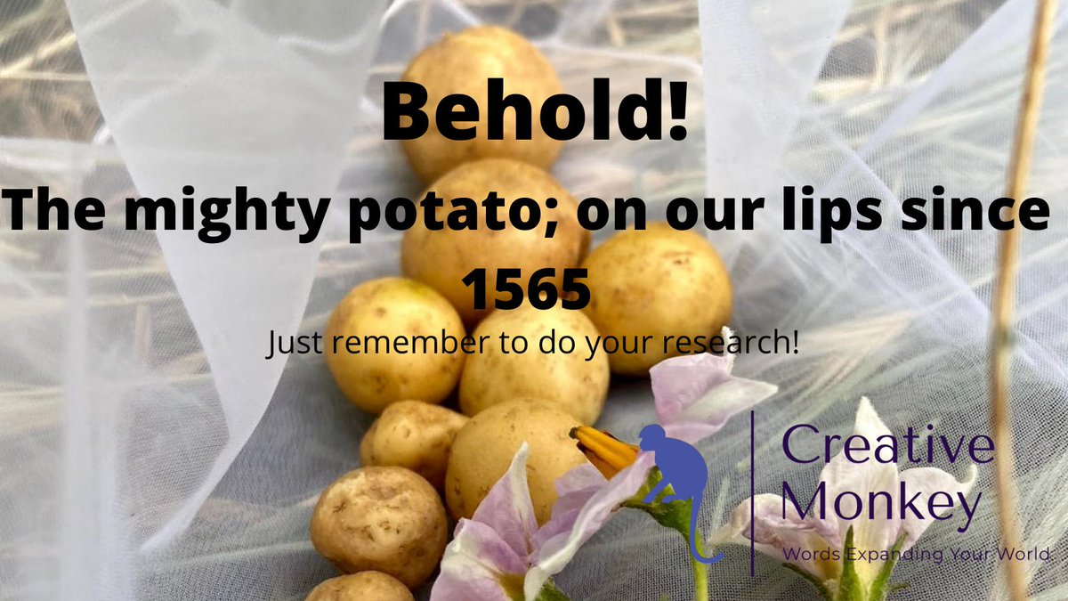 DavidDowns68's tweet image. Thanks to @susie_dent I discovered Ralight didn't actually bring the spud to England! It was his buddy, Harriot. Shows how important research is rather than assumption. #CreativeMonkey #ContentWriter #WednesdayWord