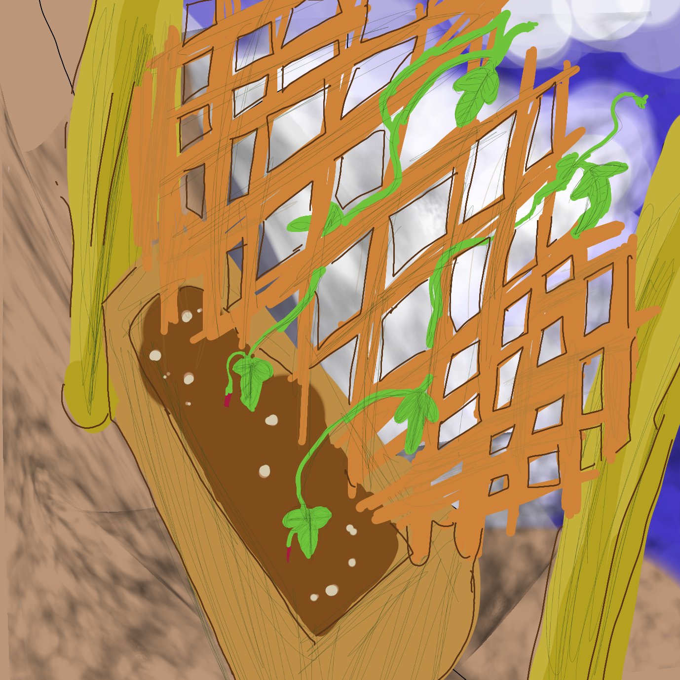 朝顔イラスト Twitter Search Twitter