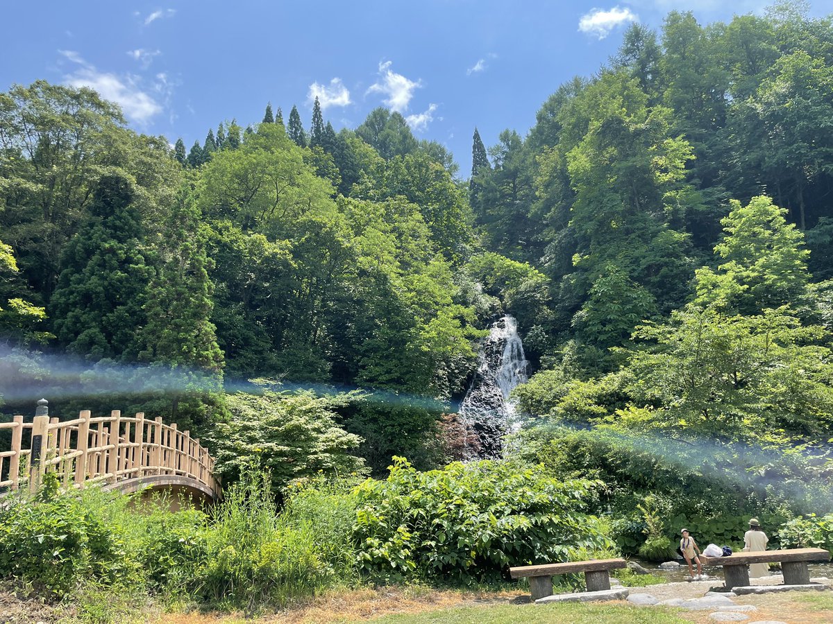 Tamu 緑 自然 癒し 景色 Tamu 緑 自然 癒し 景色