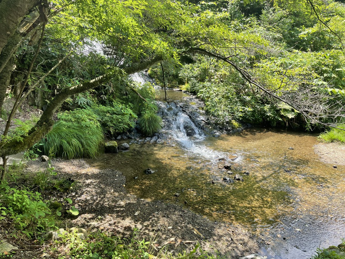 Tamu 緑 自然 癒し 景色
