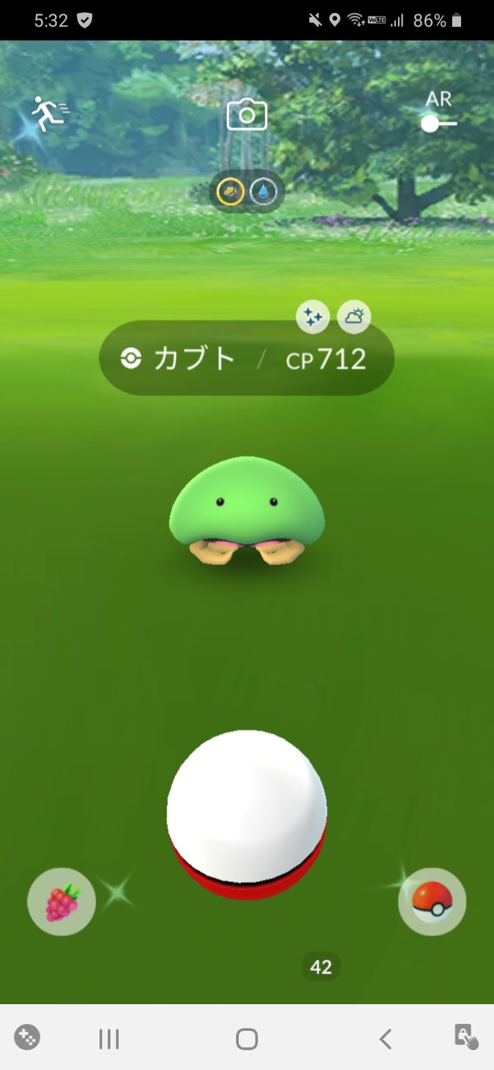 色違いカブト Twitter Search Twitter