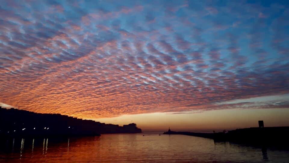 mel j. 🐝 (@inalmeliss) on Twitter photo 