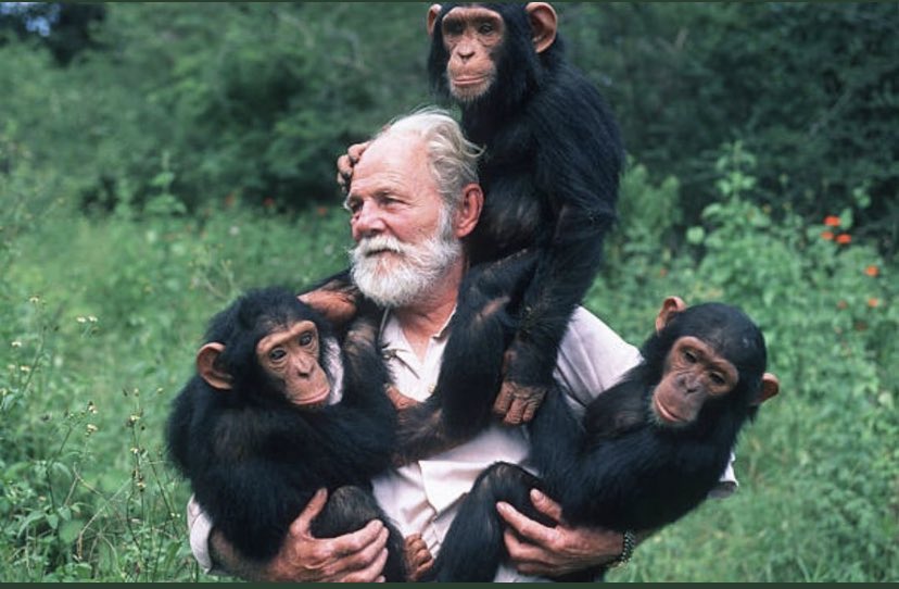 Ollywood (@dragonmonkeypie) on Twitter photo 