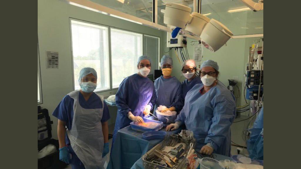 Leeds NORS…. Just a completely normal occurrence…as it should be… all female NORS team <a href="/LeedsNors/">LeedsNORS</a> <a href="/SonsolesLTHT/">Sonsoles Martinez-Lopez</a> <a href="/OliviaSmart_/">Olivia Smart</a> <a href="/sozlam/">Susanna Lam</a> <a href="/leeds_liver/">Leeds Liver Transplant and Hepatology</a> @LTHKidneys <a href="/NHSBT/">NHS Blood+Transplant</a> <a href="/BTStransplant/">BTS</a> <a href="/shahidfarid/">Shahid Farid</a>