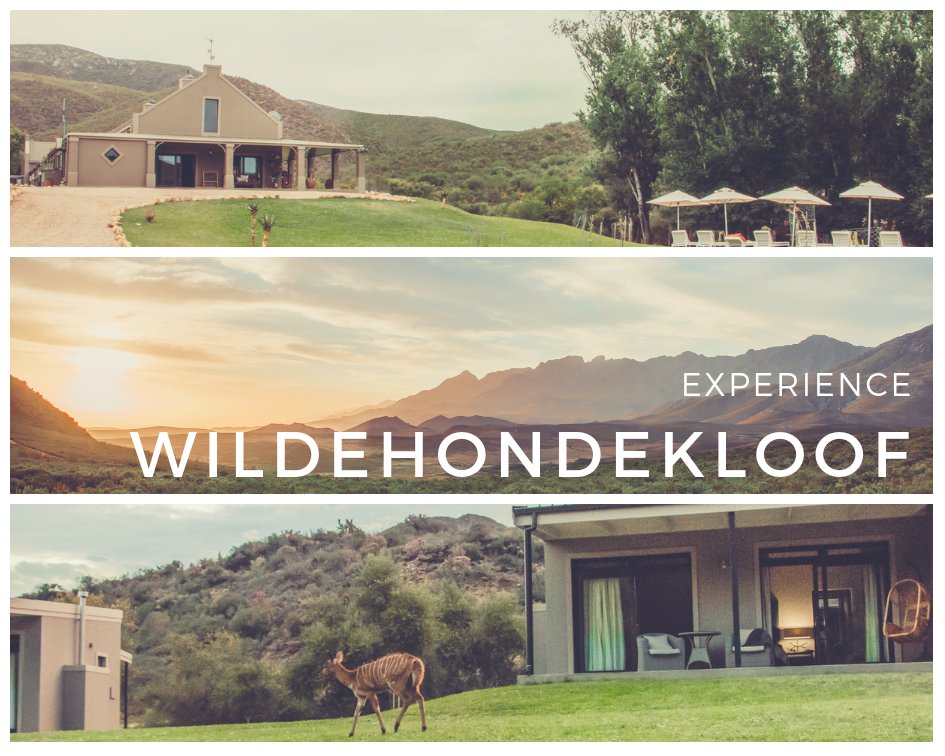 Oudtshoorn #accommdation
Luxurious river view rooms with inside fireplaces:
info@whkloof.co.za
<a href="/LekkeSlaap/">LekkeSlaap</a> <a href="/CapeCountryR/">Cape Country Routes</a> <a href="/WegBreekSA/">Vakansie Akkommodasie</a> #holiday #winter #travelling