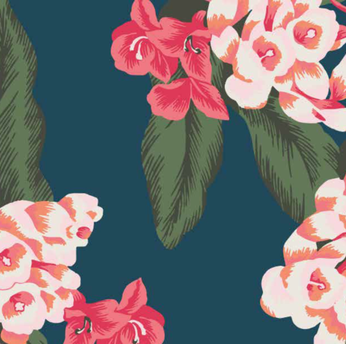 蘭の花のtwitterイラスト検索結果 蘭の花のtwitterイラスト検索結果