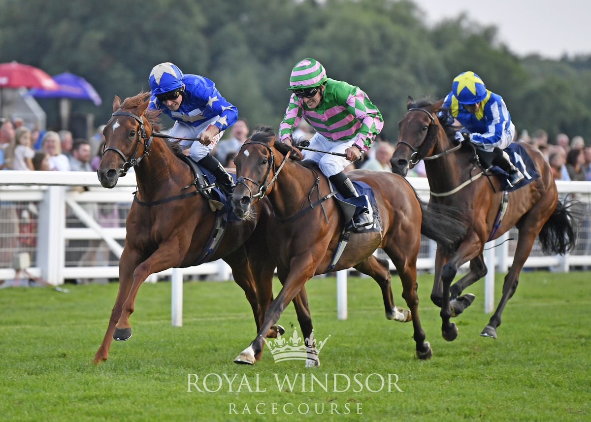 <a href="/simondowracing/">Simon Dow</a> trained Blue Beret crossed the post first in the Free Replays On attheraces.com Handicap under <a href="/Heard1T/">Tyler Heard</a> 🥇👏

📸: @FranAltoftPhoto