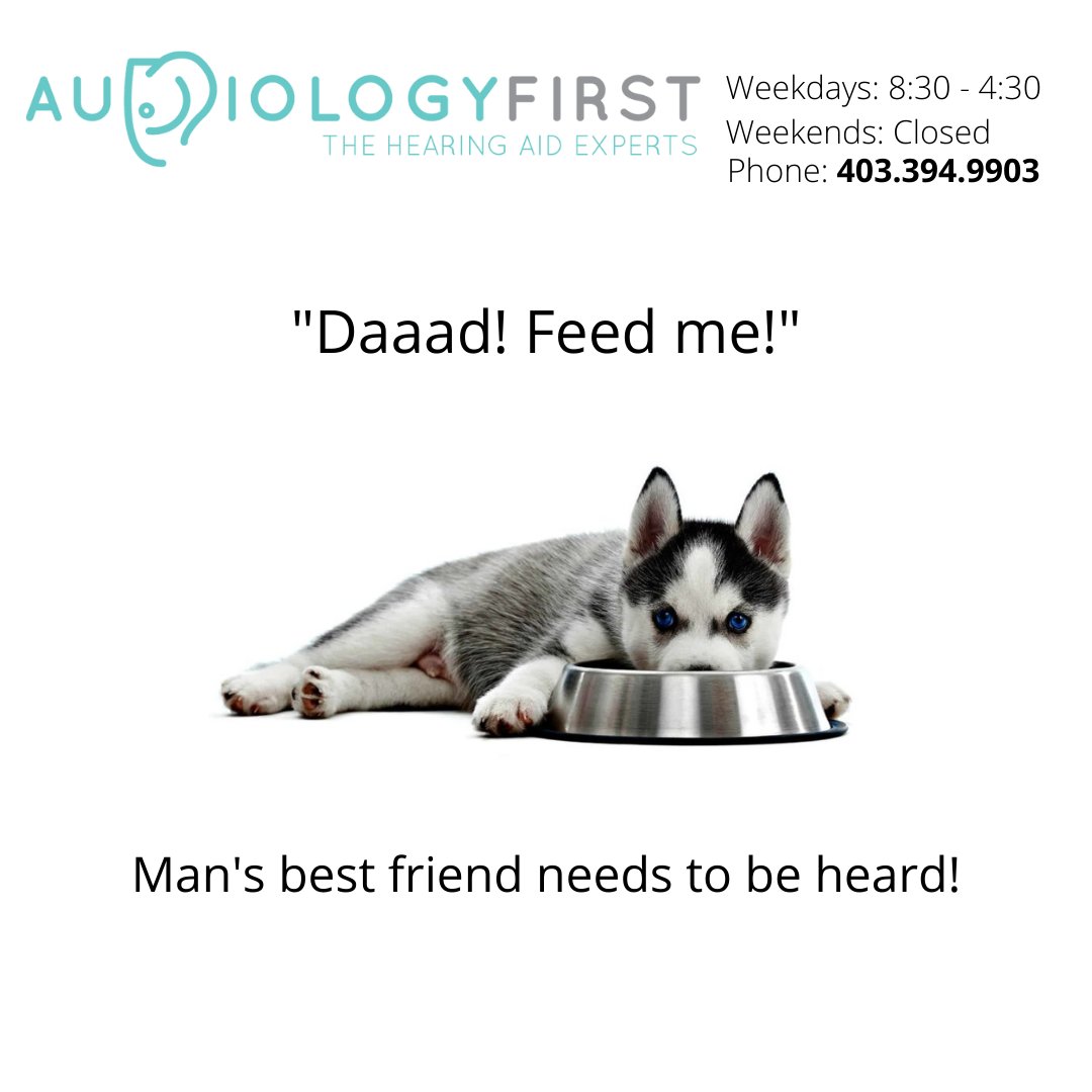 Audiology First tweet media