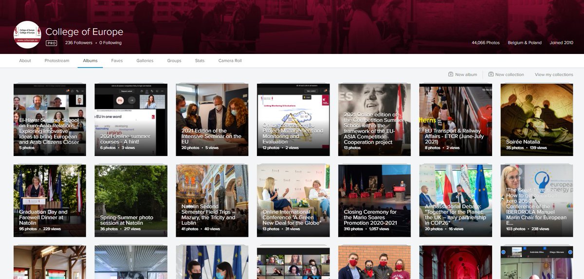 Curious about our summer courses? 
The Flickr albums are now available! 

📷📷 ⤵
flickr.com/photos/college… 

☀️☀️ 
#coleurope #summervibes
#coesummer #coesummer2021