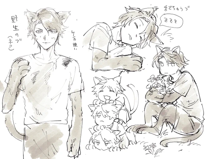 野生🐱 