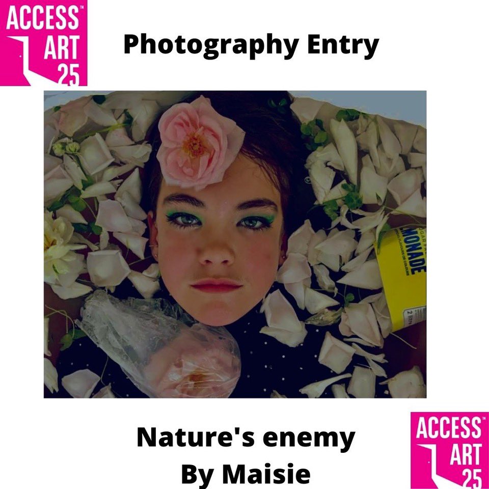 @accessart25 tweet media