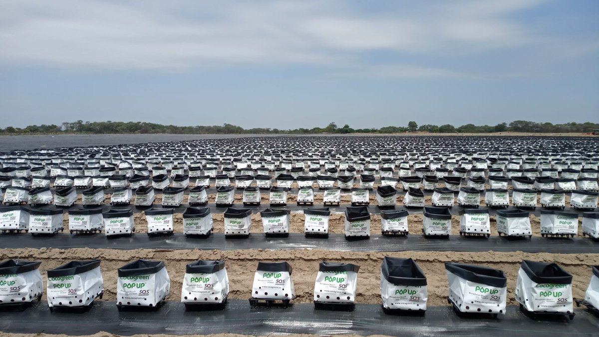 coco_peat's tweet image. With Cocogreen, Blueberry growers have #confidence as well as #reassurance with #consistency and #quality. Our leading-edge MCT® &amp;amp; Safeguard Lite Organic™ integrate to provide a homogeneous blank canvas supporting moisture content from the top of the bag to the bottom.