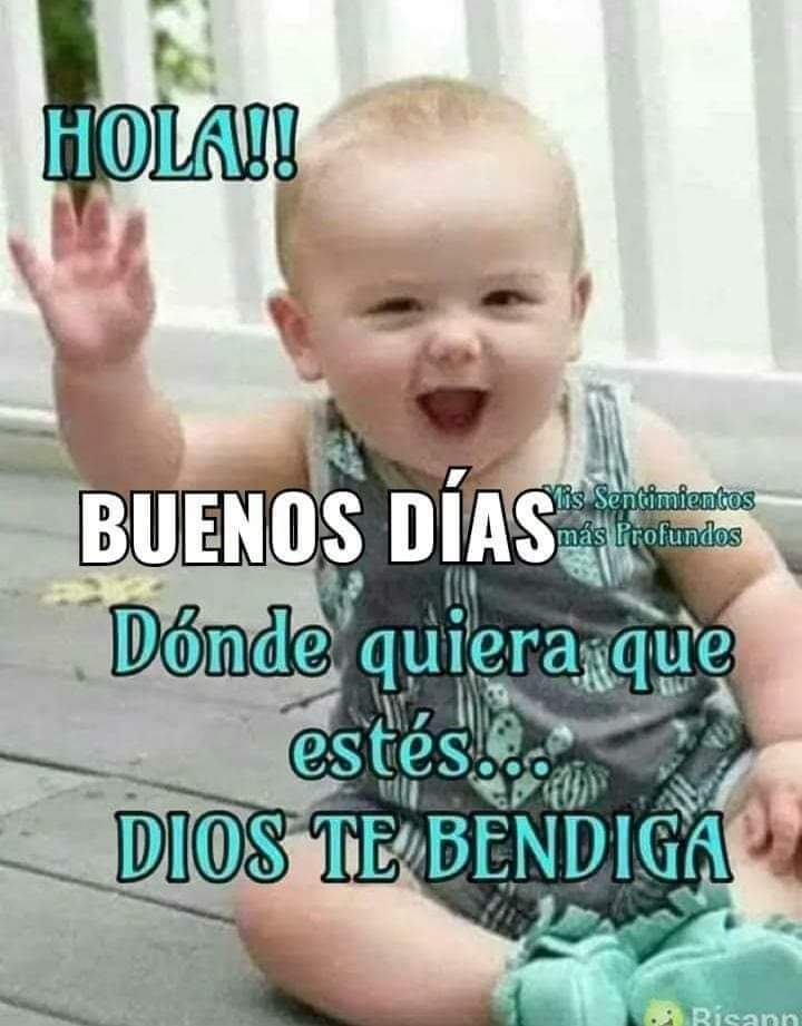 PerlaOc14133760's tweet photo. Un día más de vida que Dios nos permite ver de nuevo un amanecer 🌅 Bendiciones para todos 🙏🤗😘⚘

#BuenosDias 
#MisAmigosTwitter 
#FelizMiércoles 🤗😘⚘ https://t.co/H0uhQvfWFi