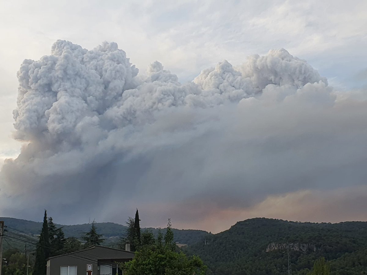 Adf Pontons tweet media