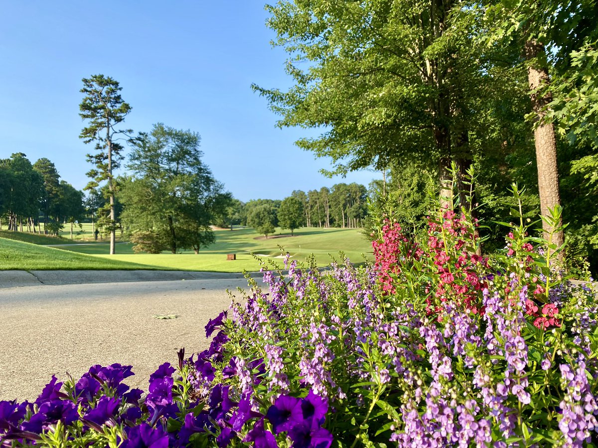 Carolinas Golf Assoc tweet media