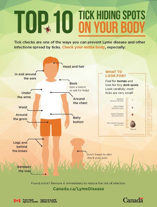 OPSEU397's tweet photo. After a walk on a trail or in wooded areas, be sure to check for ticks. Here are the top 10 hiding spots. https://t.co/b67kbVHKTk