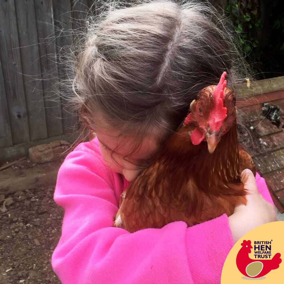 BHWTOfficial's tweet image. Happy #InternationalDayOfFriendship! Chickens make amazing pets and we love that they are the fourth most popular pet in the UK. 😍

Tell us something your hen does that melts your heart or makes you smile! 💖

#tagyourfriends #hugsmakeeverythingbetter #chickencuddles