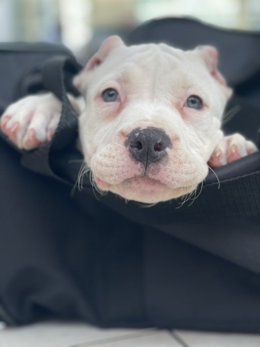 1 pic. the one single thing that made me happy while standing in the check in line at the airport for