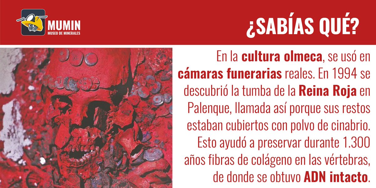 MuseoMumin's tweet photo. Mineral del Mes: Cinabrio
#cinabrio #cinnabar #mineral #MuseoMumin #Museos #Museum #geology #geologia #monthmineral #mineraldelmes #geological #geologist #mineralcinabrio #bornitemineral #Olmeca #funueraria #ReinaRoja #tumba #ADN #colágeno https://t.co/QUUrjEi769