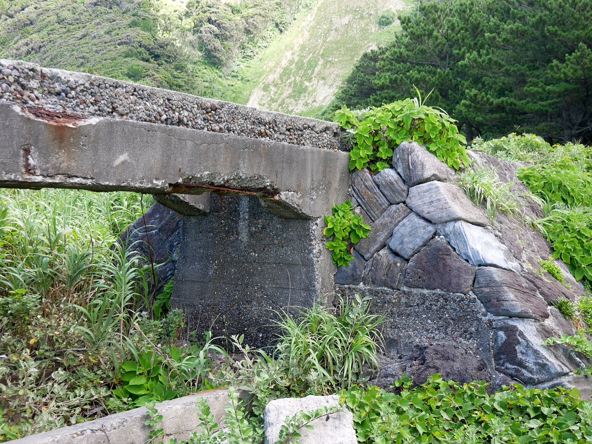 تويتر 大町パルク على تويتر 神津島 名組トロッコ跡 草に埋もれる車輪 フランジ外々の距離から 軌間は610mm程度であったと考えられます T Co Fgtp626wk2