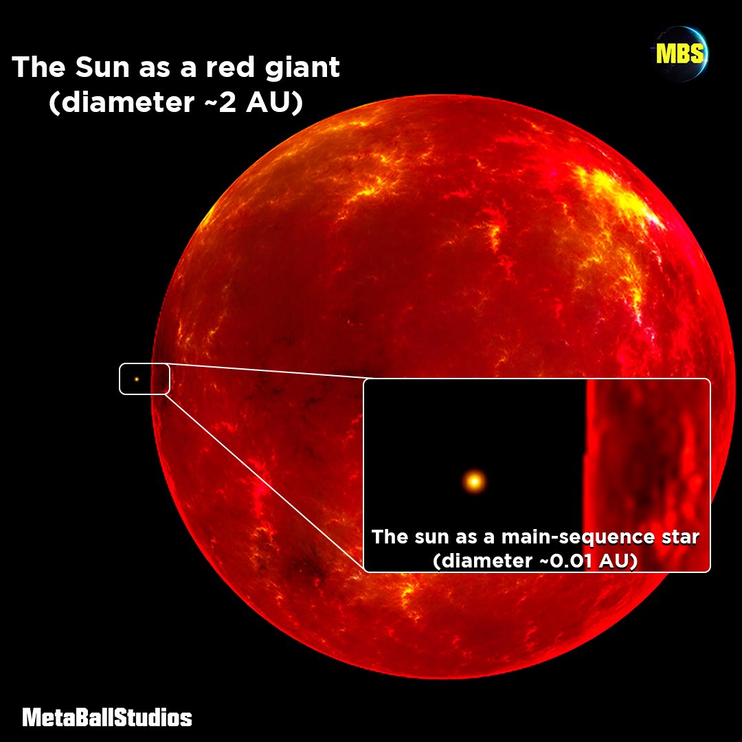 Tante Kirsebær aflange MetaBallStudios в Twitter: „✨ The current size of the Sun compared to it's  estimated maximum size during it's red-giant phase in the future  https://t.co/J7UcW0Y0oo“ / Twitter