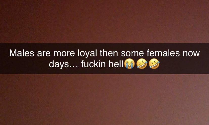 DMG💫👿 tweet media