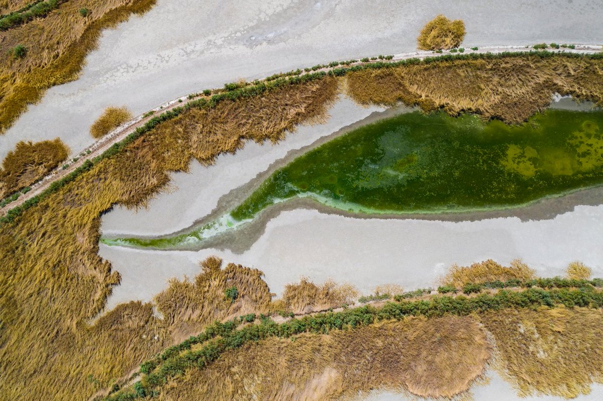 Bastien.Canal tweet media