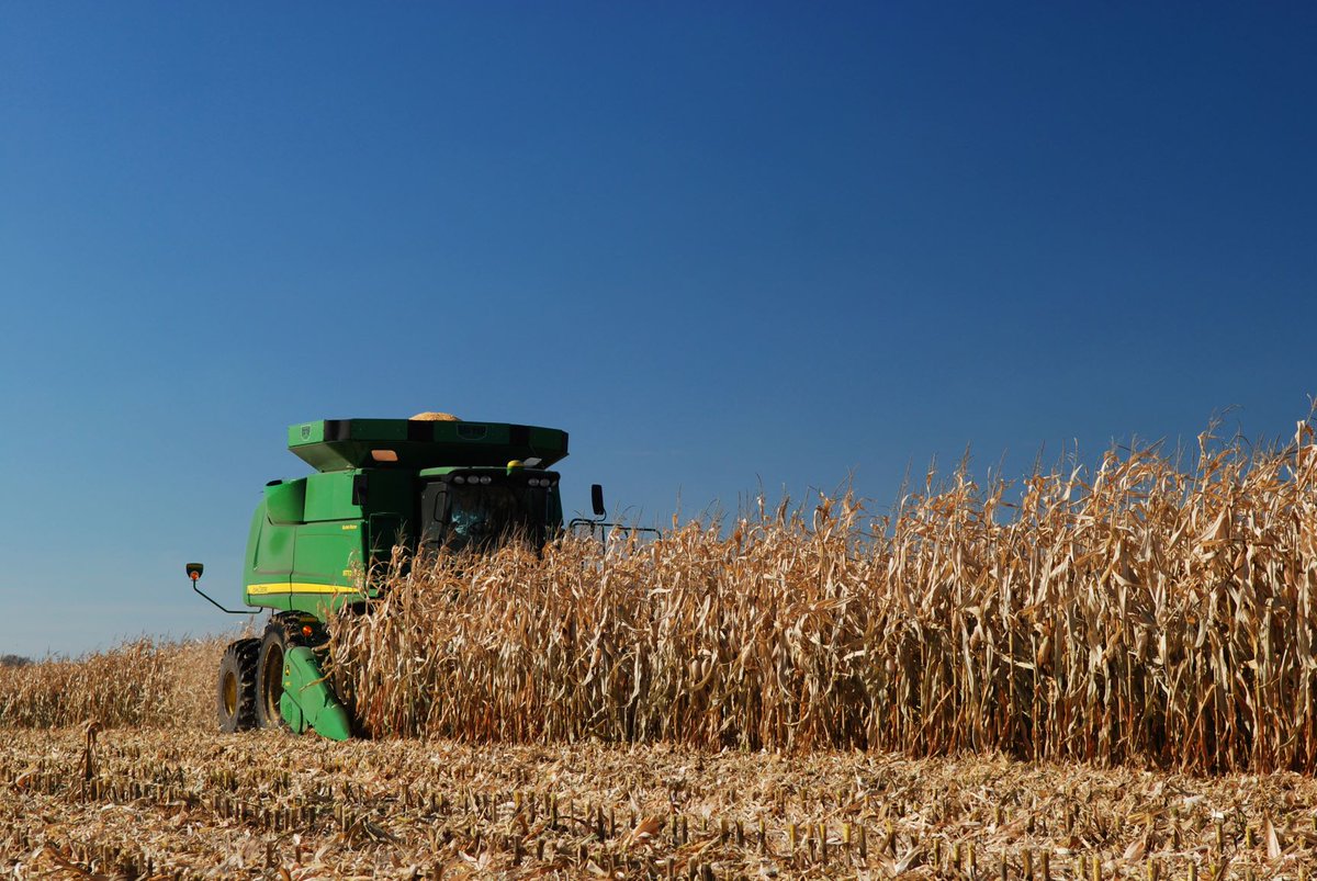 Let experienced professionals handle the worrisome task of pricing some of your grain bushels with the CHS Pro Advantage contract. Call us today!