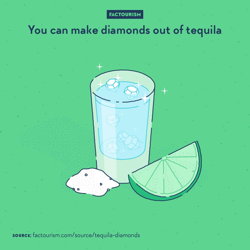 Factourism tweet media