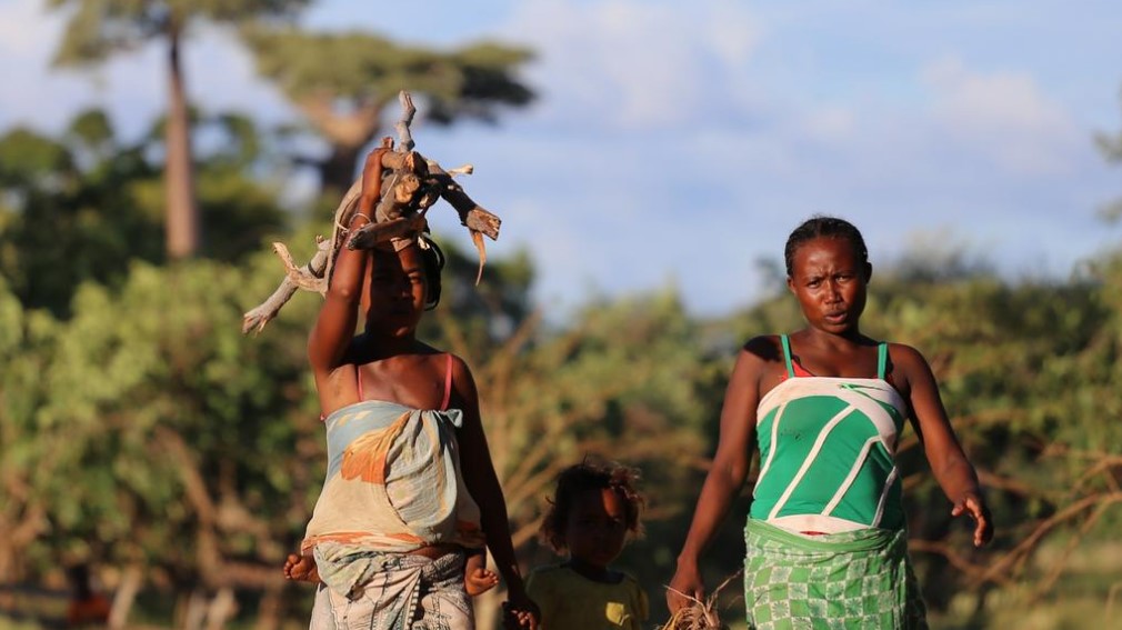 We Are Water Foundation tweet media