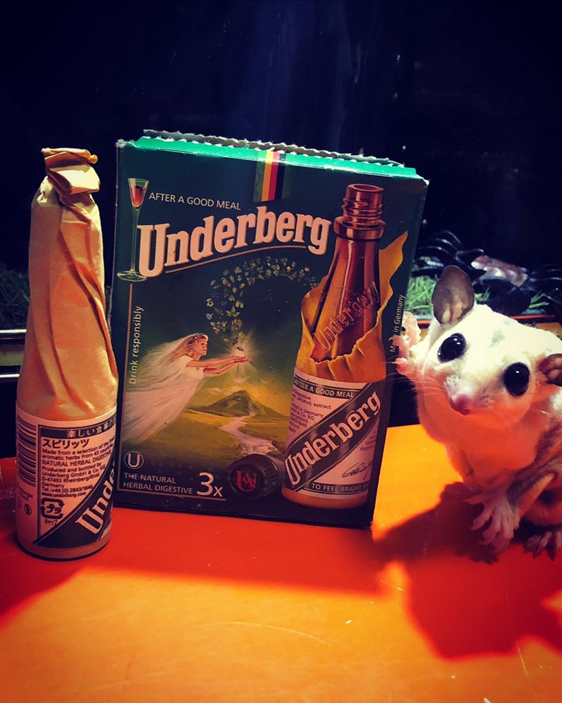 【ウンダーベルク】

「う」の付くものを、どうぞです。

#土用の丑の日
#underberg #ウンダーベルク
#sugarglider #フクロモモンガ