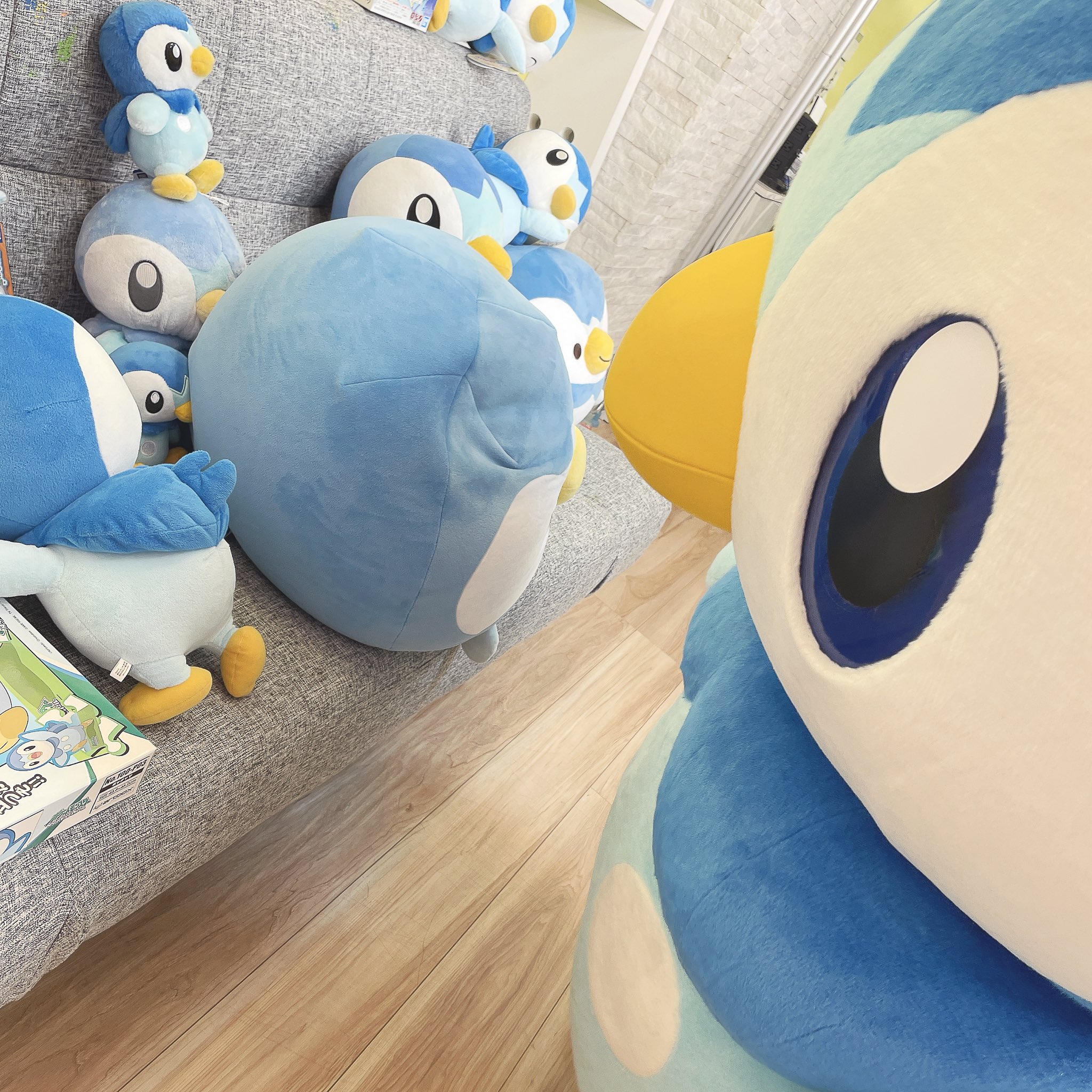 プロジェクトポッチャマ Twitter Search Twitter