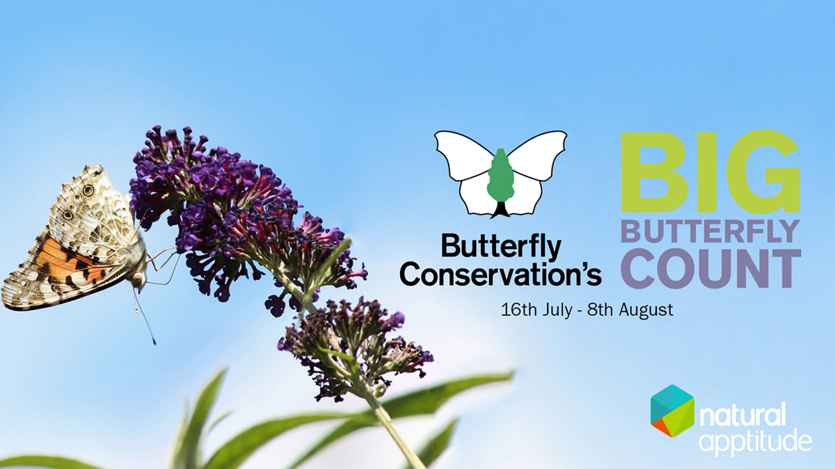 By becoming a #citizenscientist 🥼, you are helping prevent the decline of vital species across the UK!  

We caught up with Gillian Power from <a href="/savebutterflies/">Butterfly Conservation 🦋</a>🦋understand why it’s important you take part in the Big #ButterflyCount. 

Find out more 👉 natural-apptitude.co.uk/how-software-h……