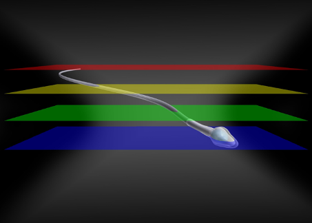 jn_hansen's tweet photo. How to track fast moving objects in 3D with high precision? Find answers in our new paper on label-free, multifocal imaging, released today @NatureComms  #Cilia #Flagella #Microscopy: https://t.co/T50M4asH27. https://t.co/zfHjD4Q30W